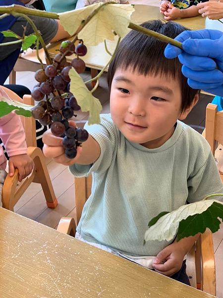 季節の食材に触れる