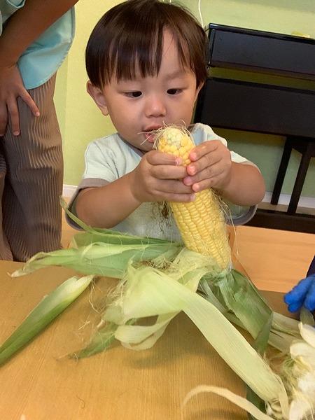 季節の食材に触れる