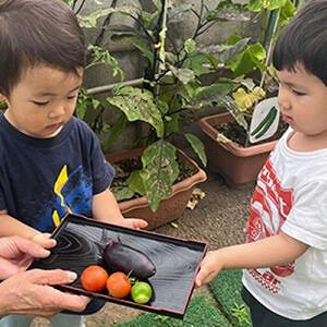 季節の食材に触れる