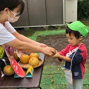 季節の食材に触れる