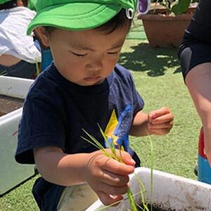 季節の食材に触れる