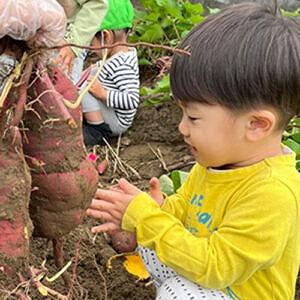 季節の食材に触れる